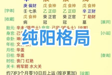 八字四阴四阳命理分析