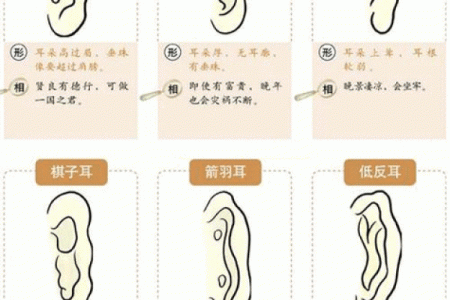 耳朵算命耳朵看运势大全,耳朵命运图解