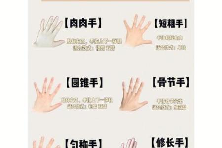 手型算命：兼形手的特质和命运