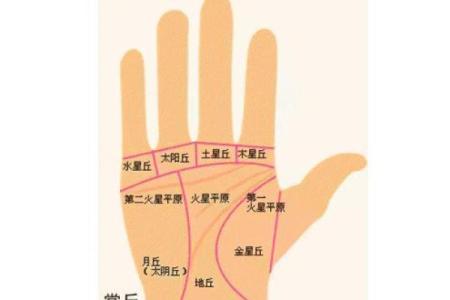 牙齿数量算命，牙齿算命图解