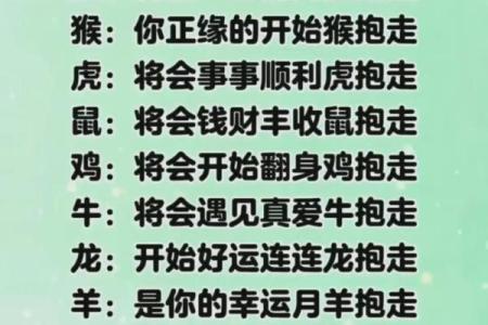 爱情与姓名测试配对 爱情姓名测试配对阿里巴巴？