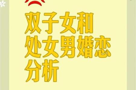 双子座和处女座婚姻配对吗