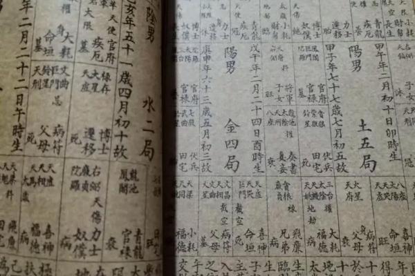 紫微斗数书 紫微斗数书籍下载？