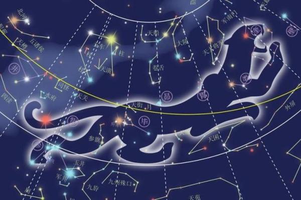 北斗星和紫薇星的区别是什么意思啊