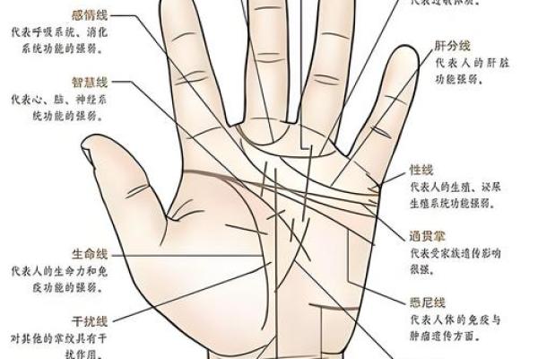 一斗穷二斗富指纹算命 手相运势分析
