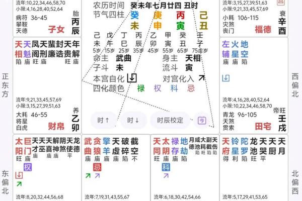 紫薇斗数盘解析