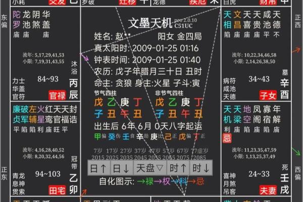 紫薇斗数盘解析