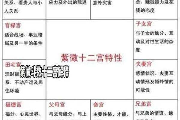 紫薇斗数开车撞人