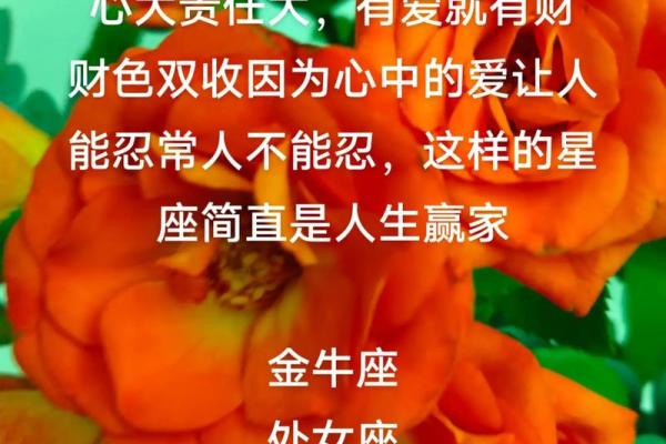哪个星座女有福气大的