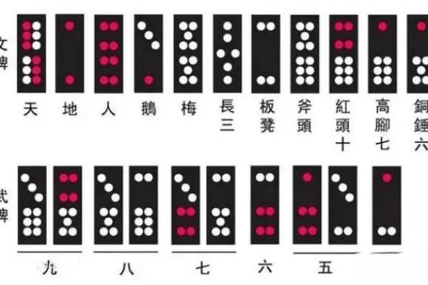 那种算命的牌叫什么