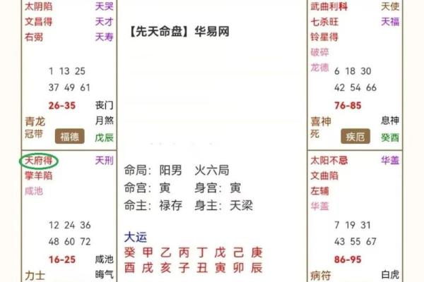 紫薇斗数原理