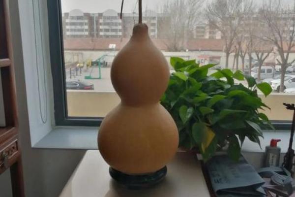 天然生长的真葫芦在风水中有什么作用和功效