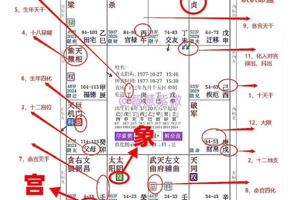 道教紫微斗数 道教紫微星？