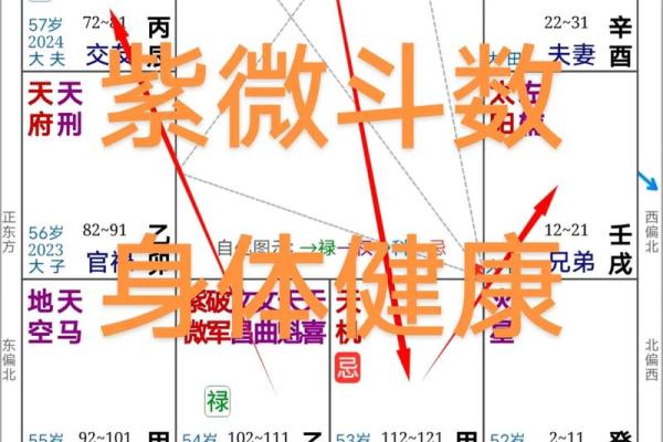 紫薇斗数迁移宫文曲