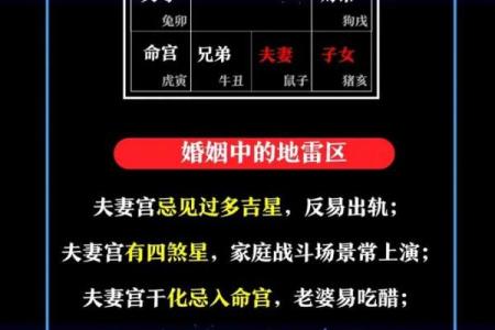 紫薇斗数怎样看二婚命