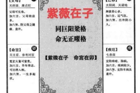 周易紫薇数斗