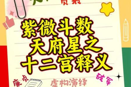 紫微斗数之诸星值限年运气推断：天府星之年