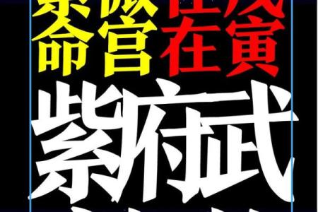 紫薇斗数看官司输赢