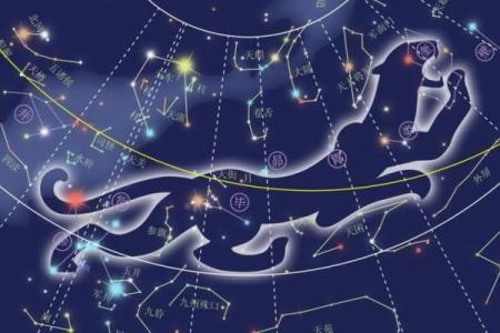 北斗星和紫薇星的区别是什么意思啊