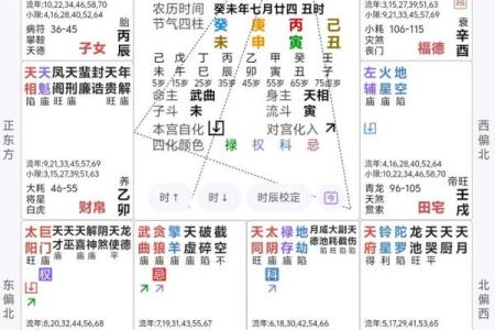 紫薇斗数盘解析