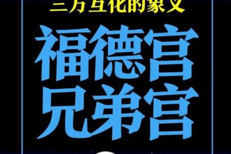 紫薇斗数开车撞人
