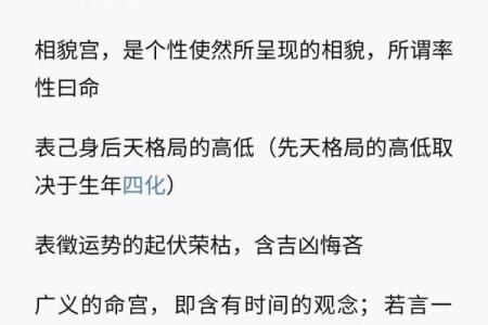 紫薇斗数入门术语