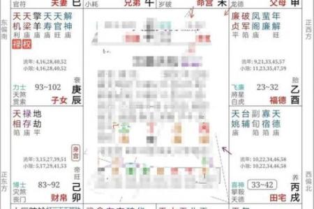 大运紫薇斗数
