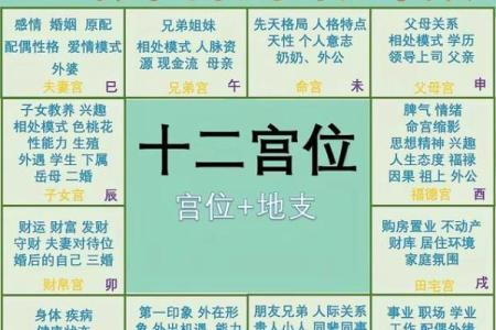紫薇斗数父母职业