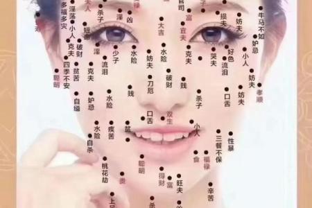 脸上黑痣算命图解吉凶
