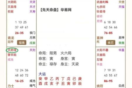 紫薇斗数原理