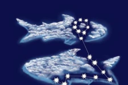 丘比特星座下半年运势