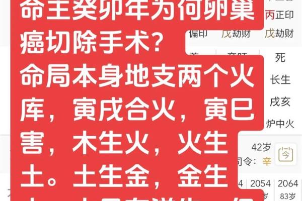 解析92年优秀八字，让你的人生更加精彩