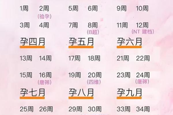 怀孕能算命吗