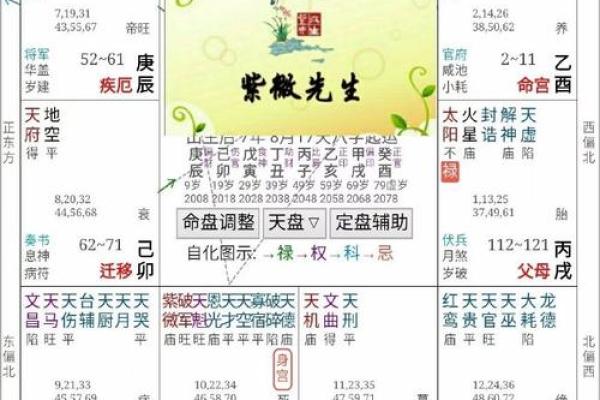 紫薇星左辅右弼入夫妻宫