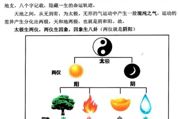 四柱八字知识