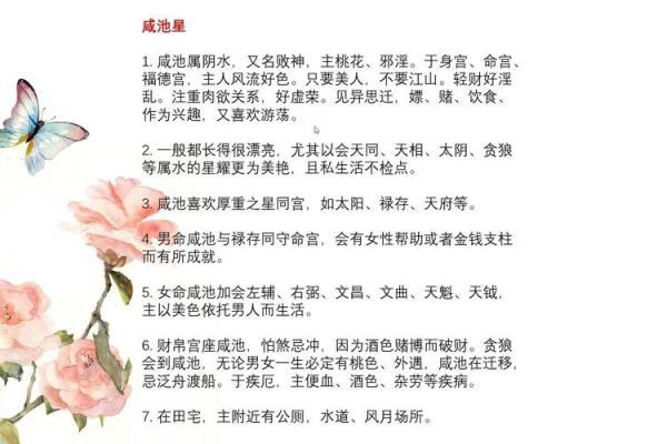 紫微斗数神缘 紫微斗数 解神？