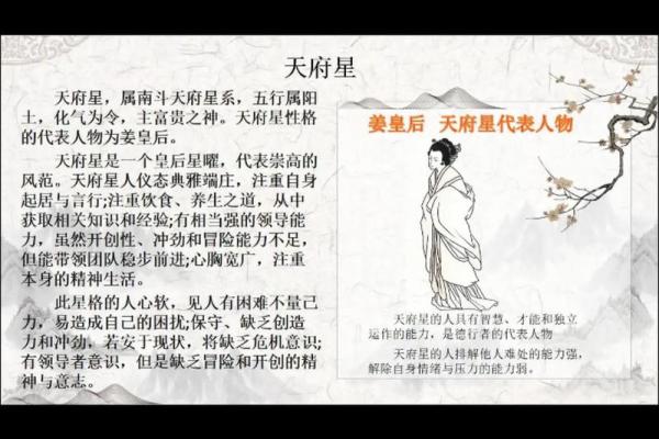 如何定紫薇星天府星