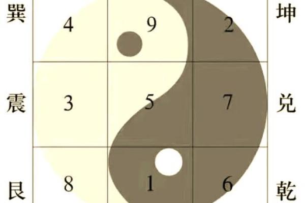 周易数字吉凶测试方法视频