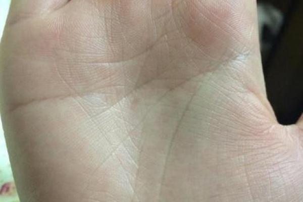 八字算命手相占卜