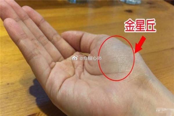 八字算命手相占卜
