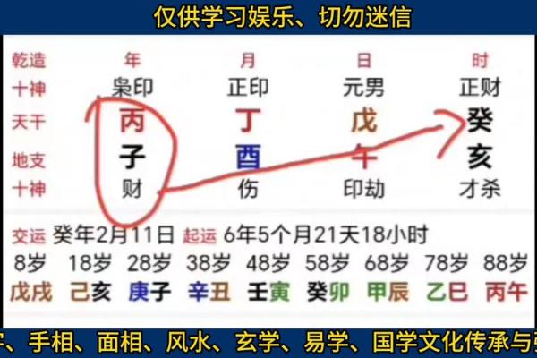 盲派八字视频
