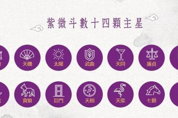 紫薇斗数飞入星