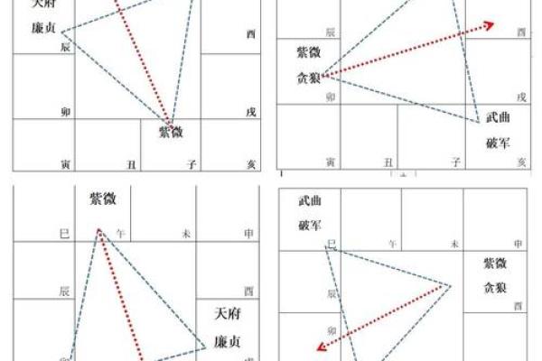 紫薇斗数飞入星