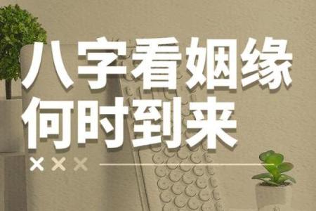 周易算命免费生辰八字测姻缘