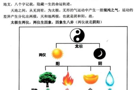 四柱八字知识