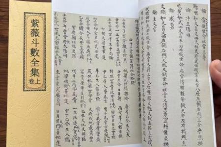惯索紫薇斗数