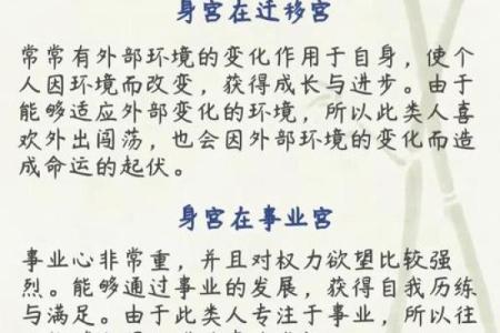 紫薇斗数中最准确的解释