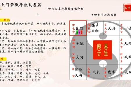紫微斗数之疾厄宫与诸星，巨门星在疾病宫是什么意思？