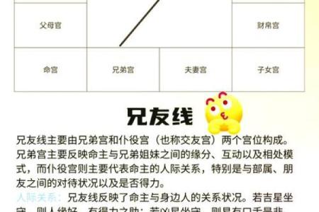 紫薇斗数详细测试