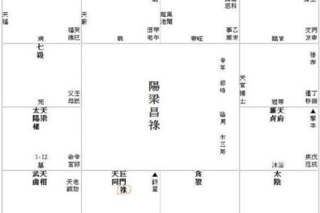紫薇斗数入住解说